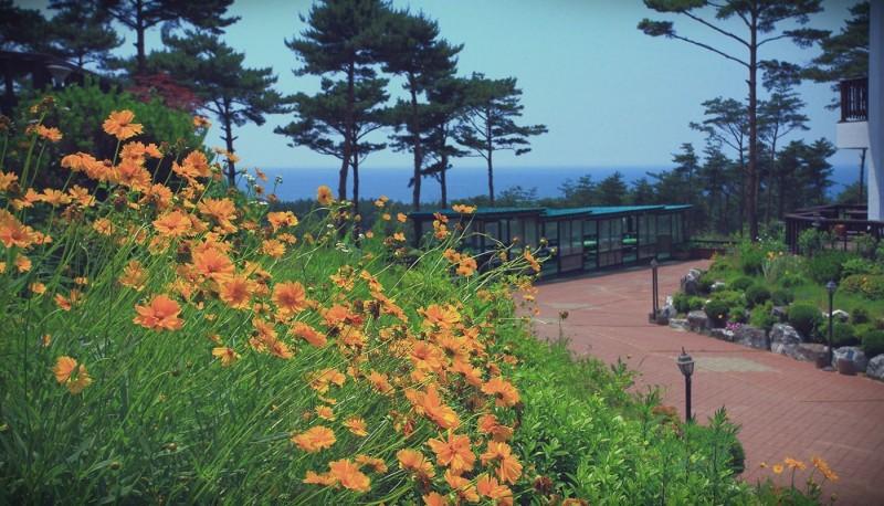 숙소 시설