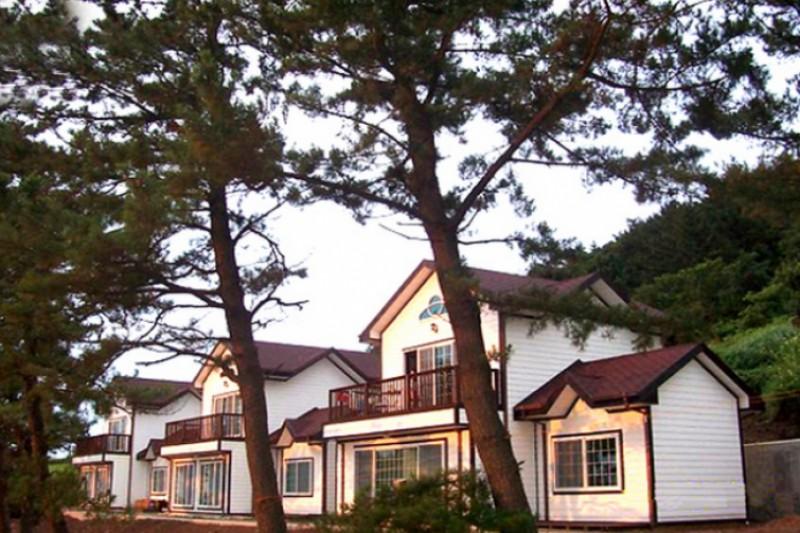 Yeongdeok Dalnim Pension
