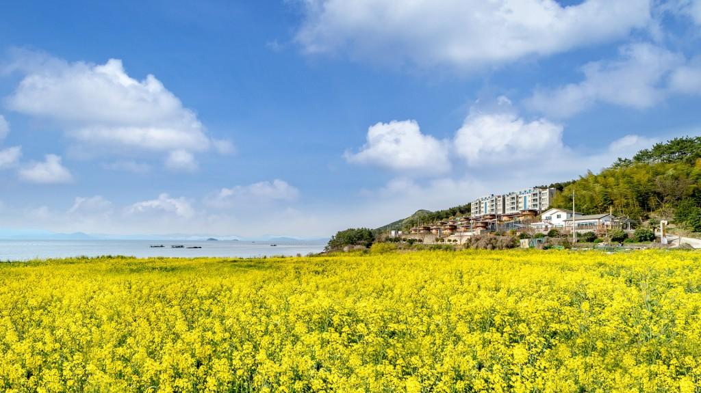대표 사진