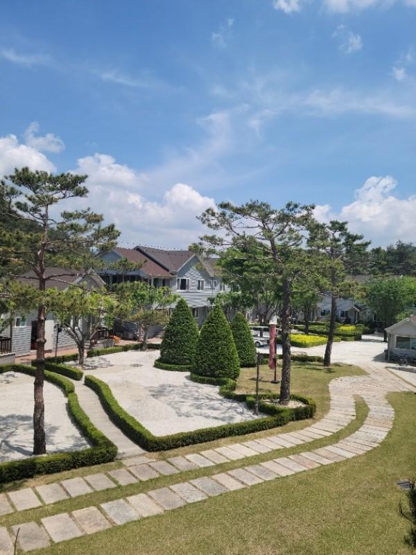 대표 사진