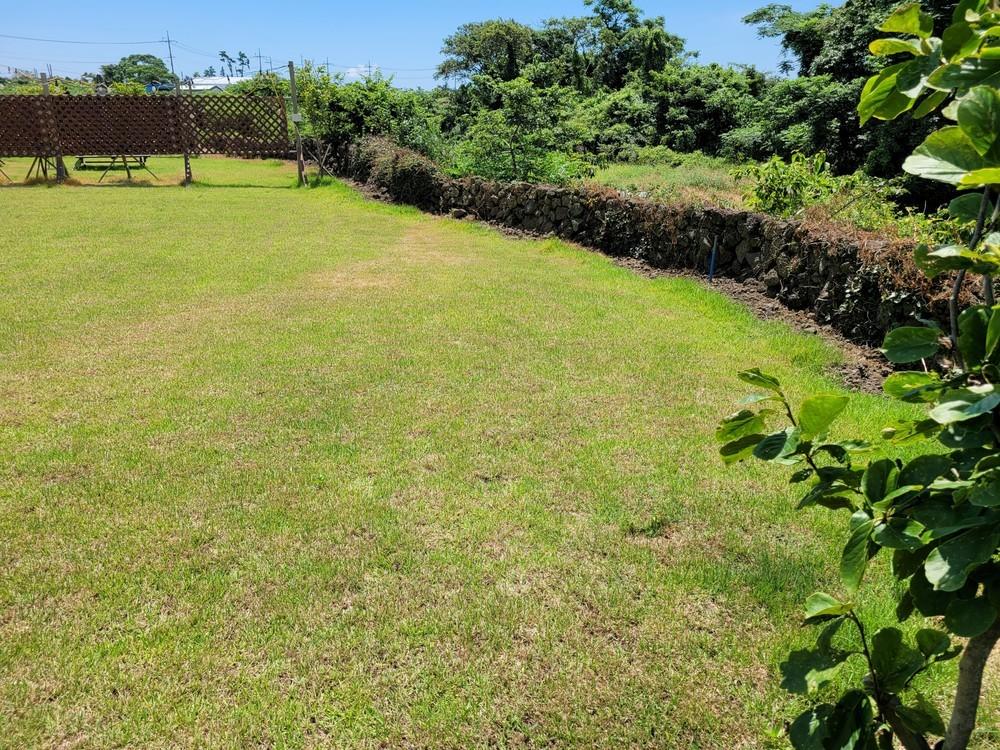 jeju jamjanun bike dokche pension-27