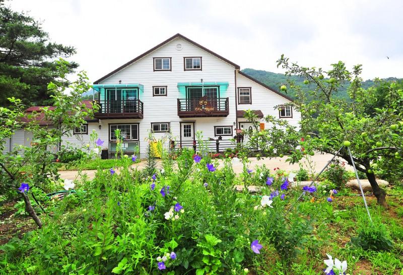 Inje Seonyeorang Baekdamirang Pension