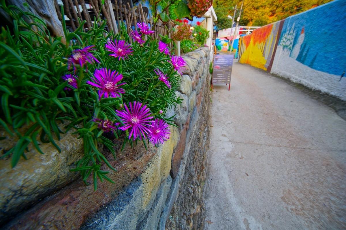 Jeonju Dreaming Wings Hanok Private House Pension-11
