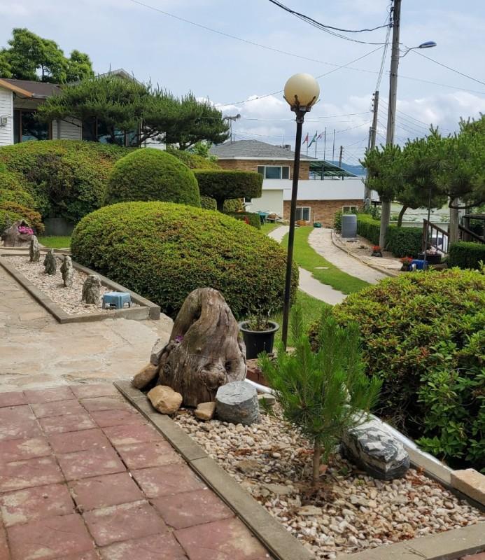 대표 사진