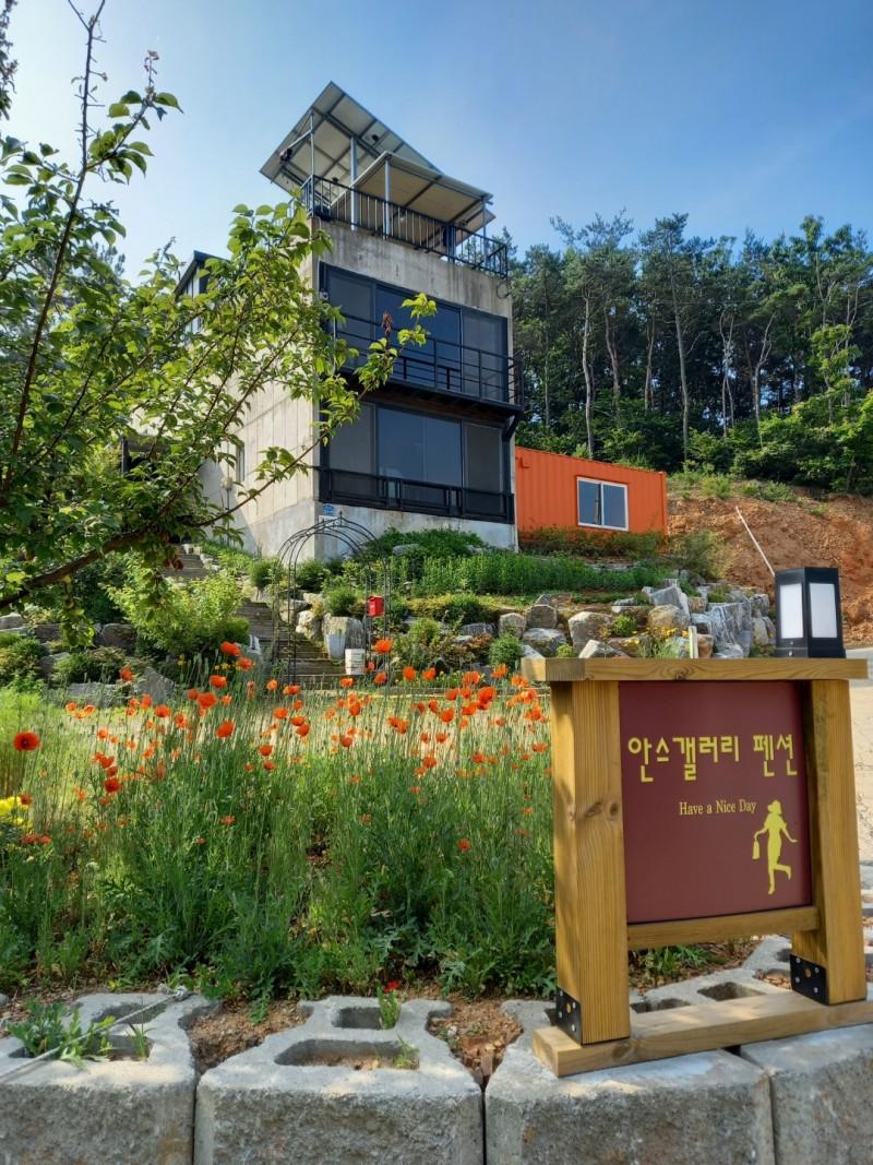 Daebudo Ann's Gallery Pension