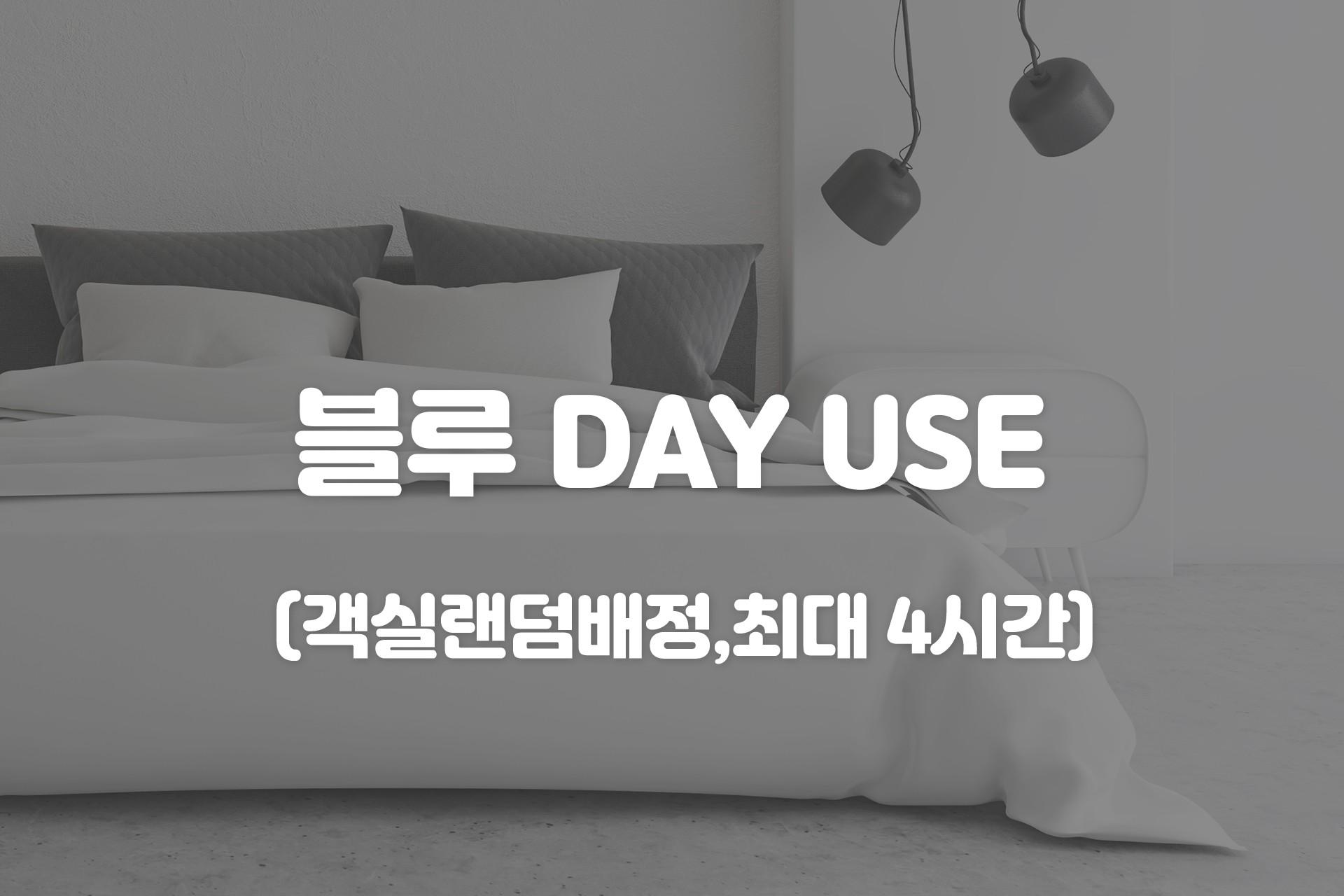 블루 DAY USE (객실랜덤배정,최