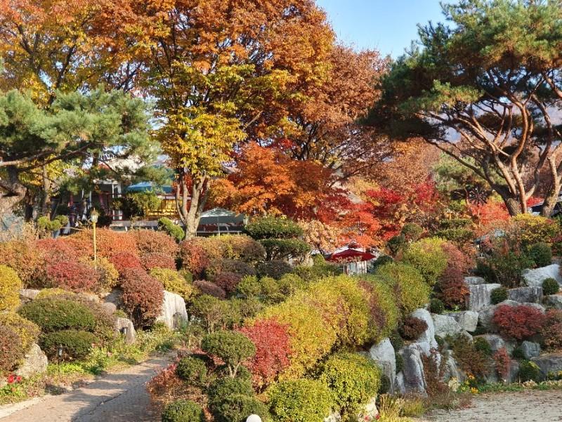 Gapyeong Flower Muji Pension (near the valley)-27
