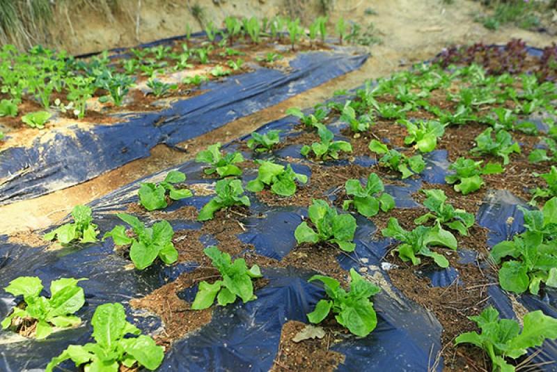 Seokmodo Stella Pension-21