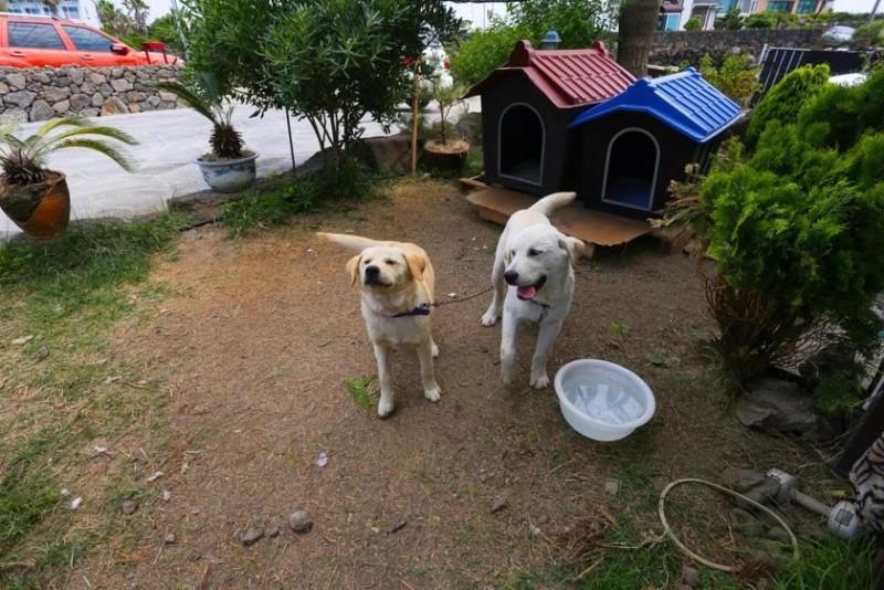 숙소 시설