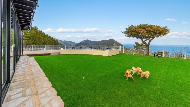 Yeosu Staymung Dog Spa Pension