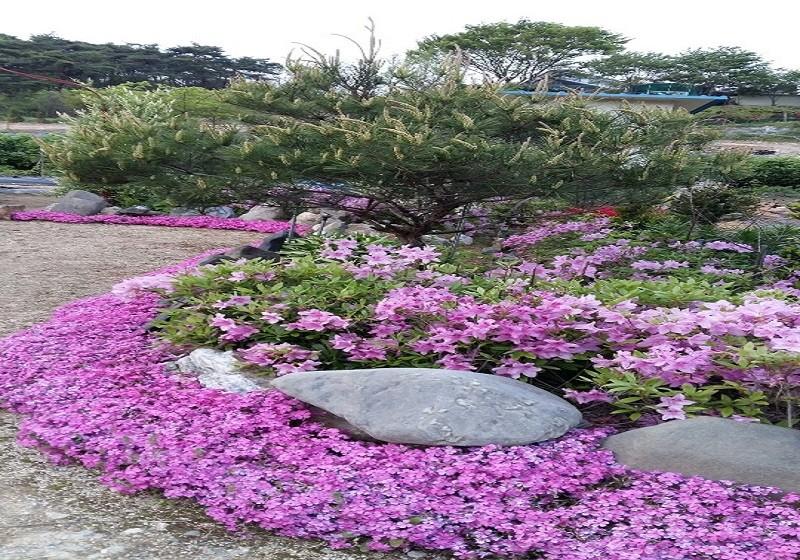 숙소 시설