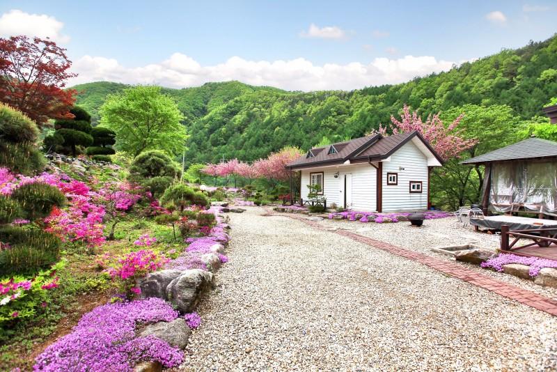 숙소 시설