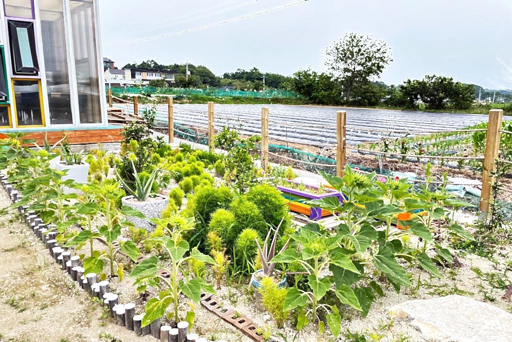 숙소 시설