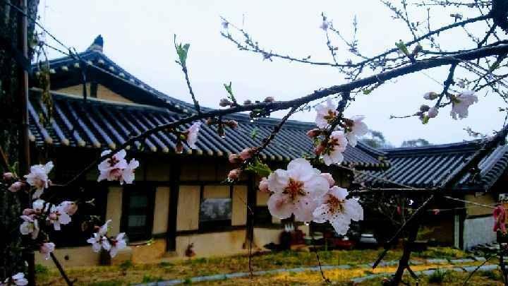 Bonghwa manhoi gotek-2