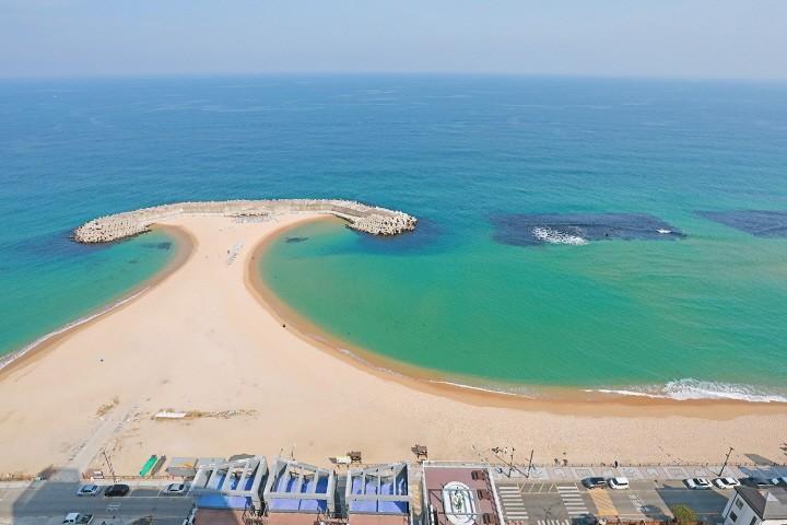 대표 사진