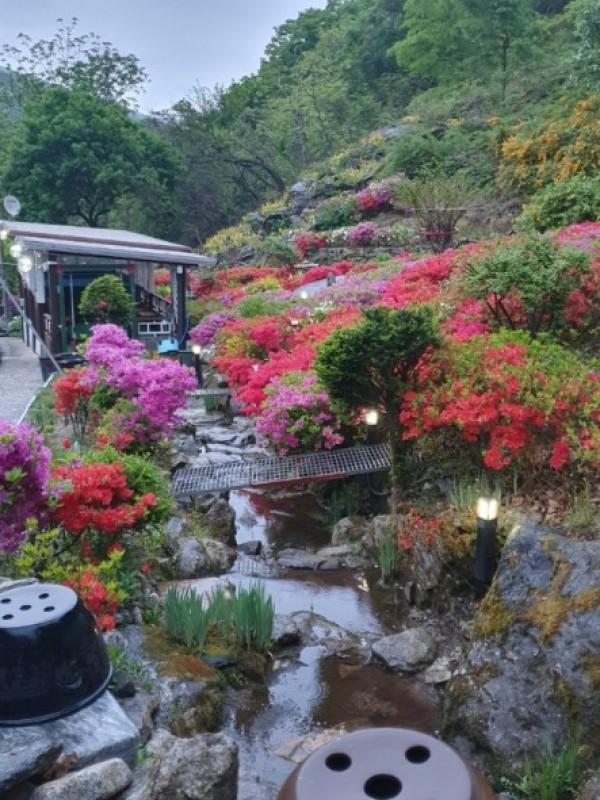 Gapyeong Valley Pension Luan (Valley in front of the pension)-54