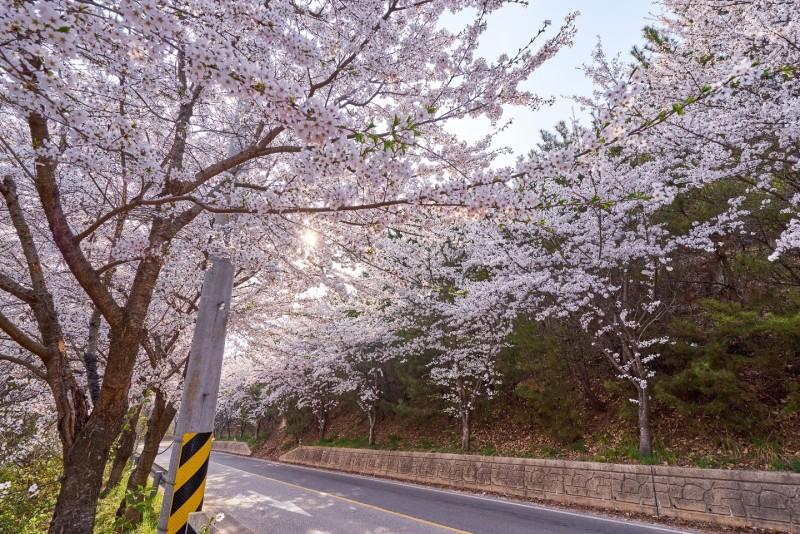 숙소 시설