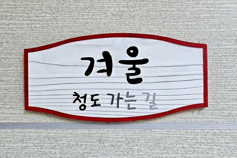 대표 사진