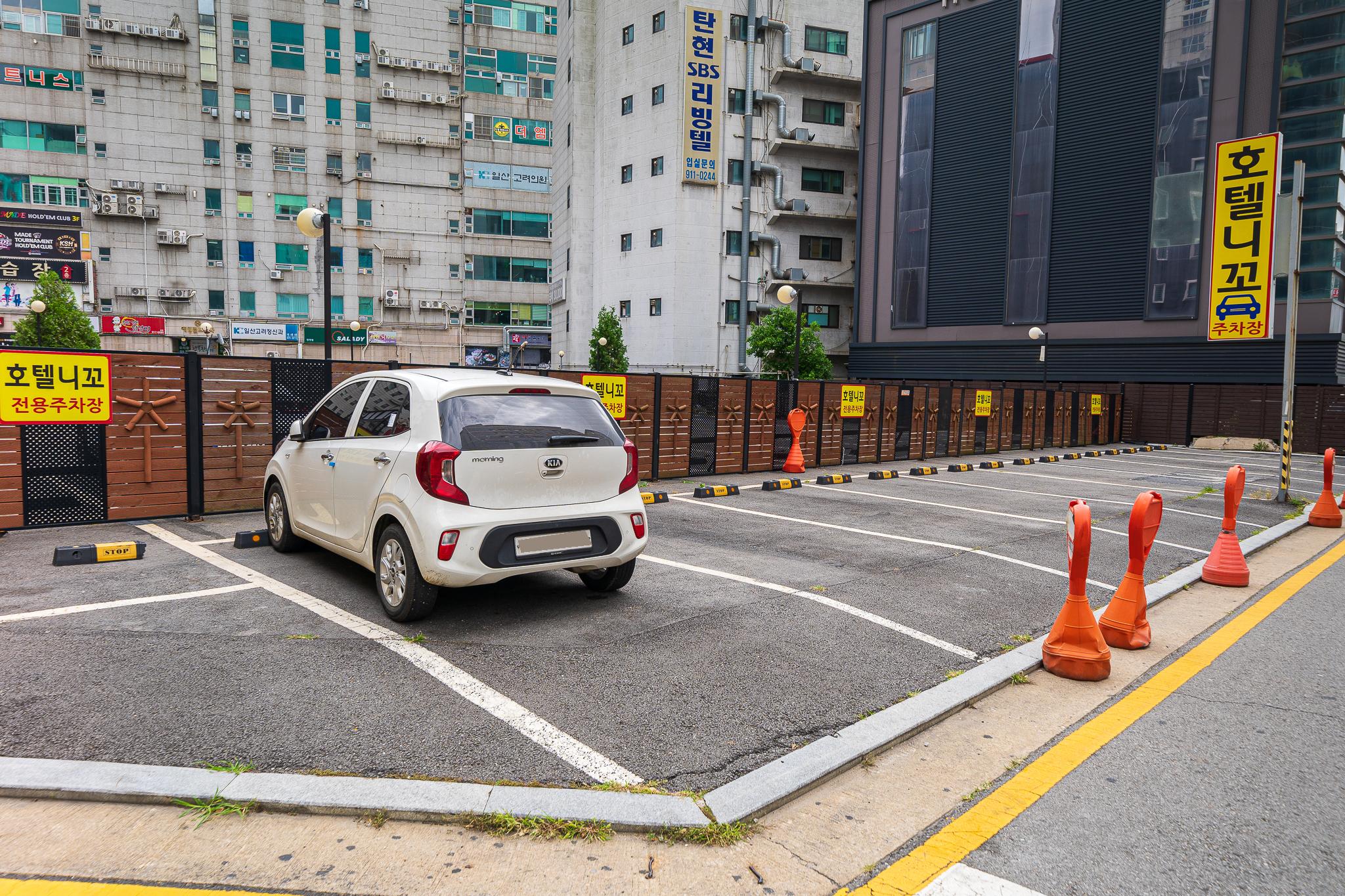 Ilsan (Tanhyeon) Nikko-11