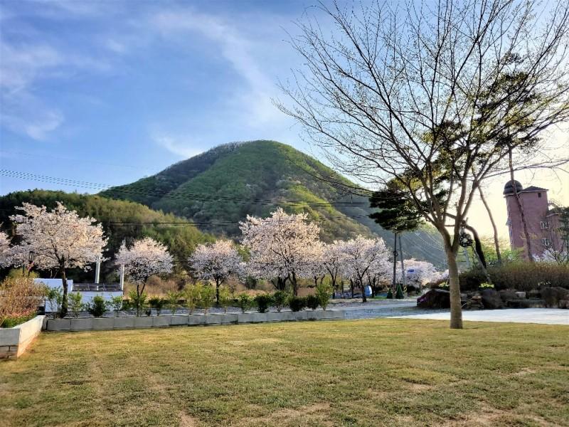 대표 사진