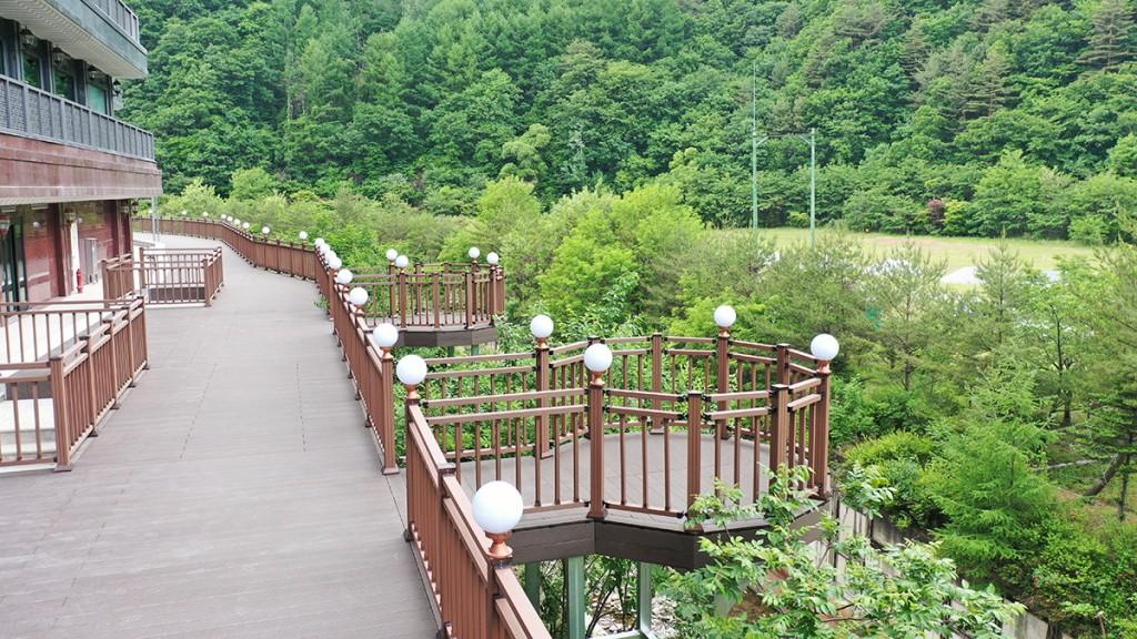 대표 사진