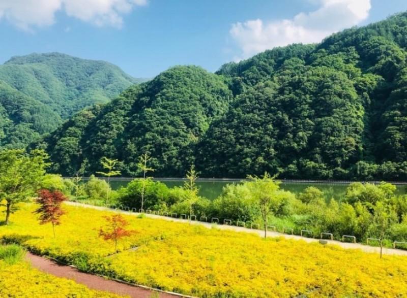 대표 사진