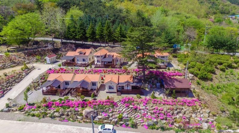 Sancheong and wild flower pension