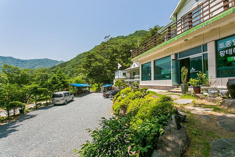 대표 사진