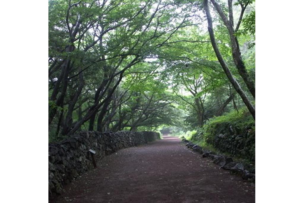 숙소 시설