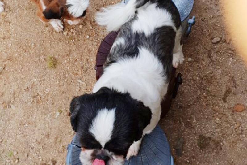 Pocheon Sanulrim Pension-54