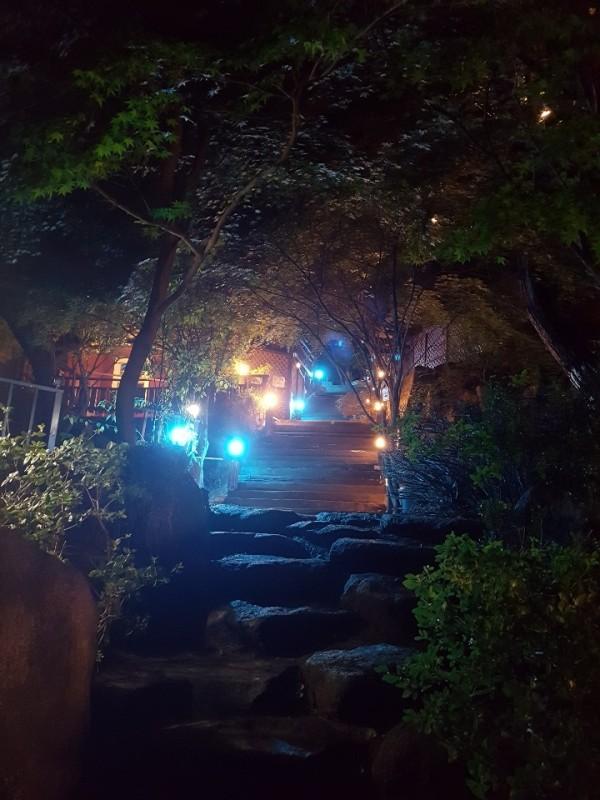 대표 사진