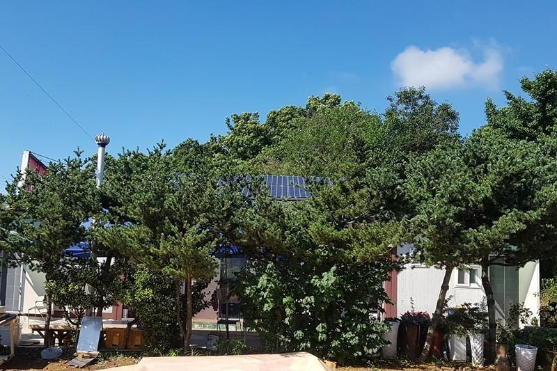 Daebudo (Yeongheungdo) Rural Marubang Pension-22