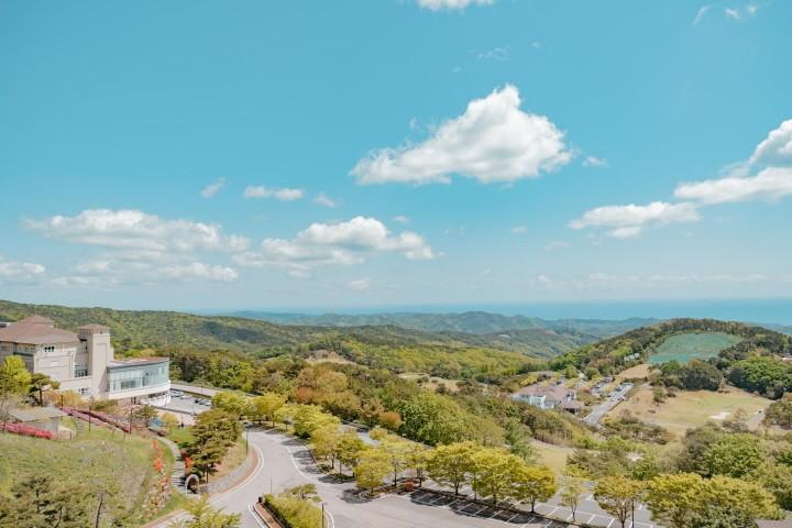 대표 사진