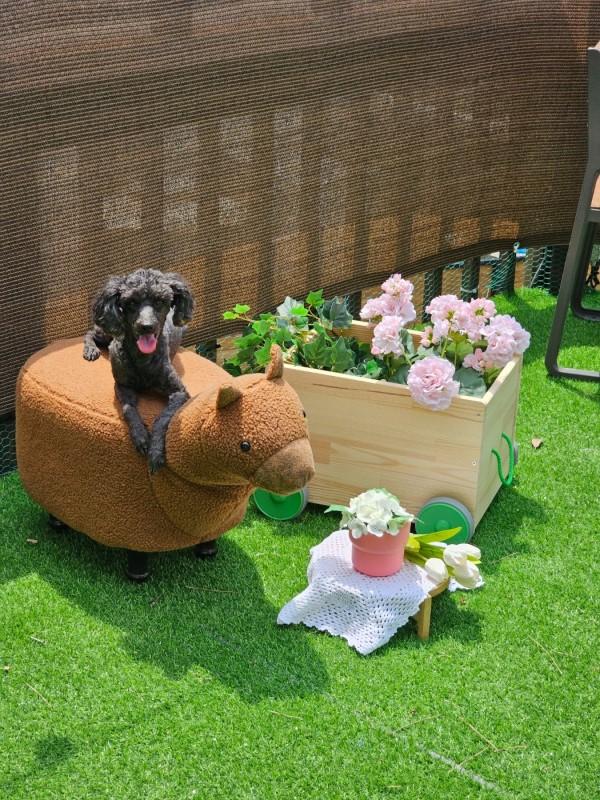 숙소 시설
