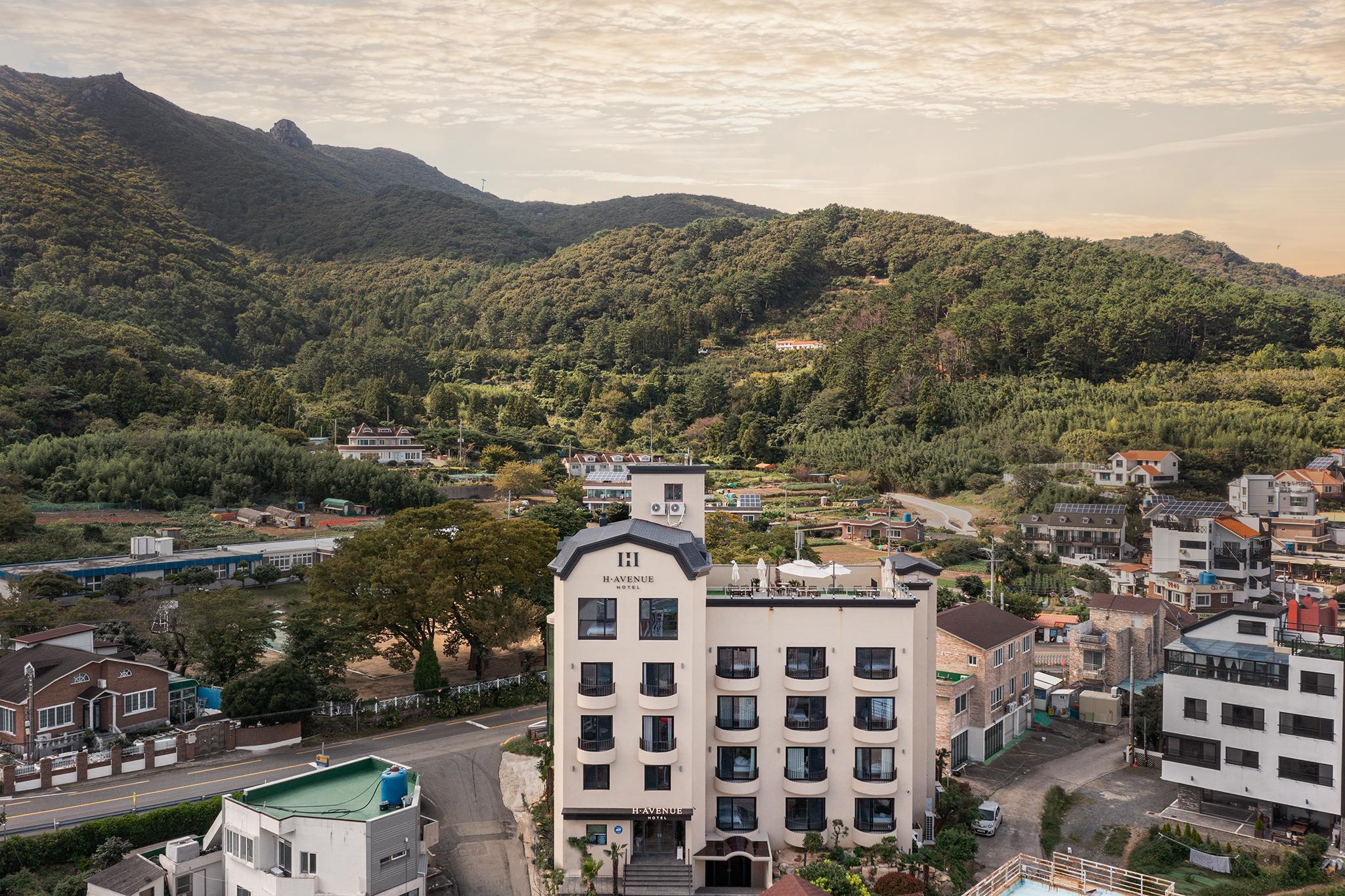 대표 사진