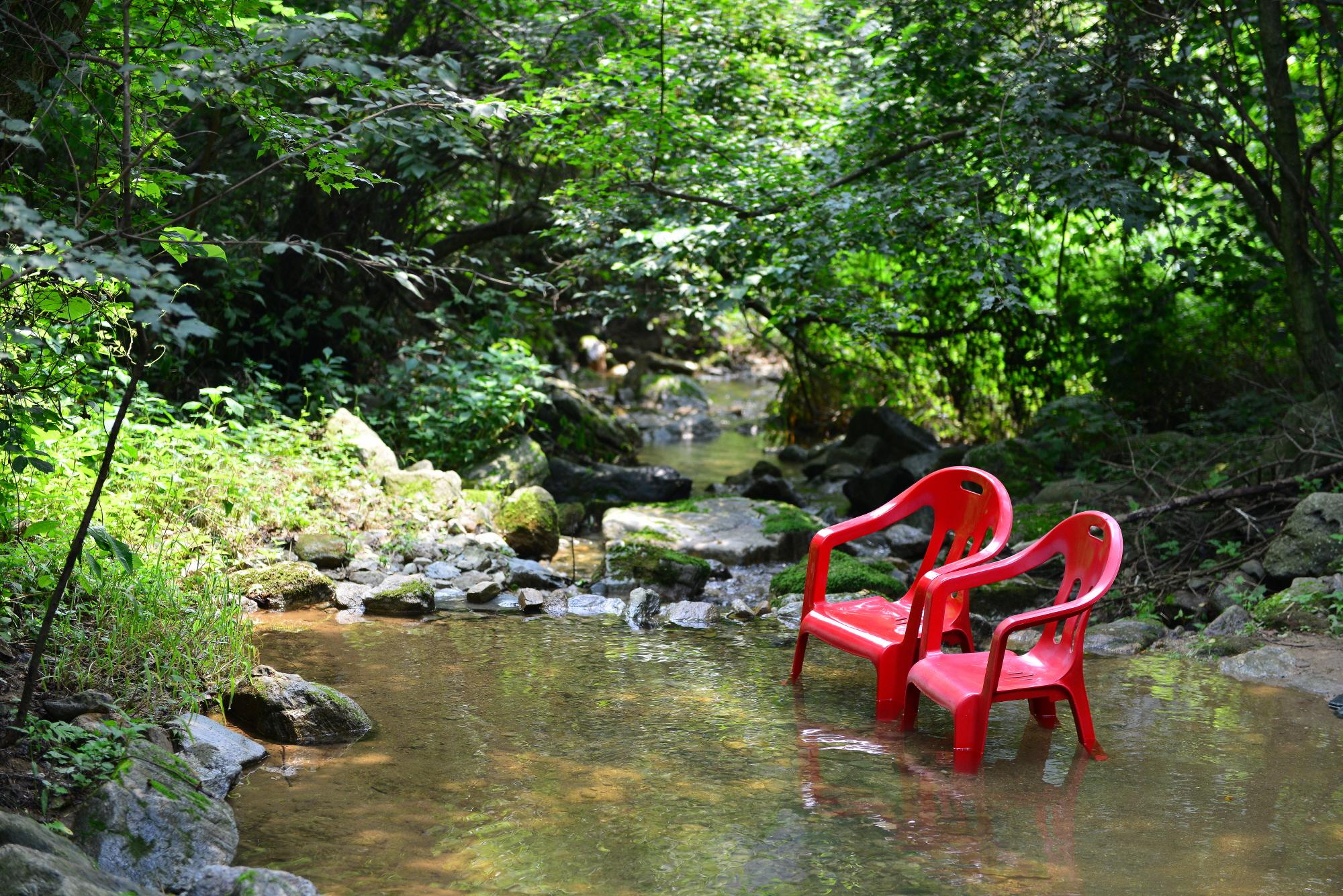Gapyeong Forest Squirrel Pension