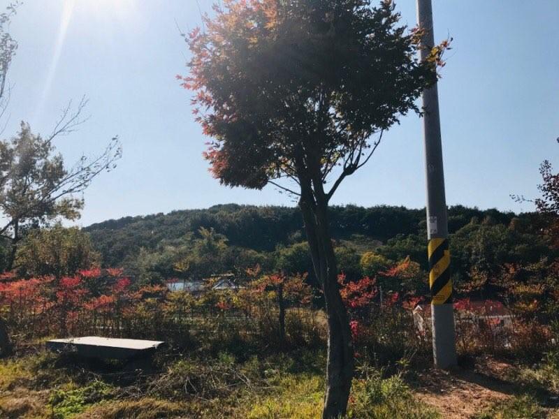 숙소 시설