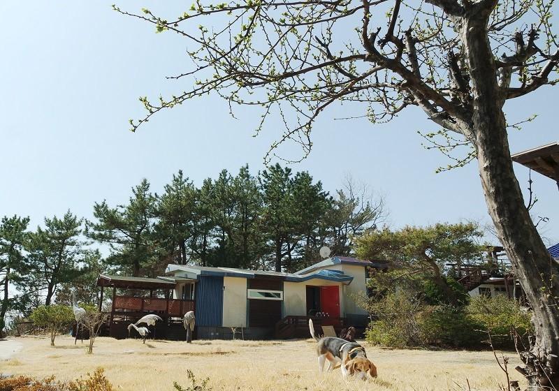 숙소 시설