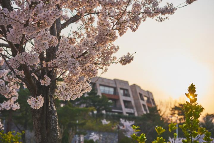 Gangdong Resort (formerly Blue One)