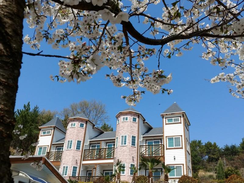 숙소 시설