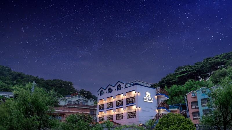 대표 사진