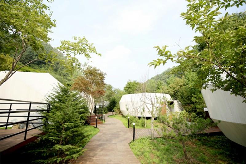 Gapyeong Pine Forest Pension-22