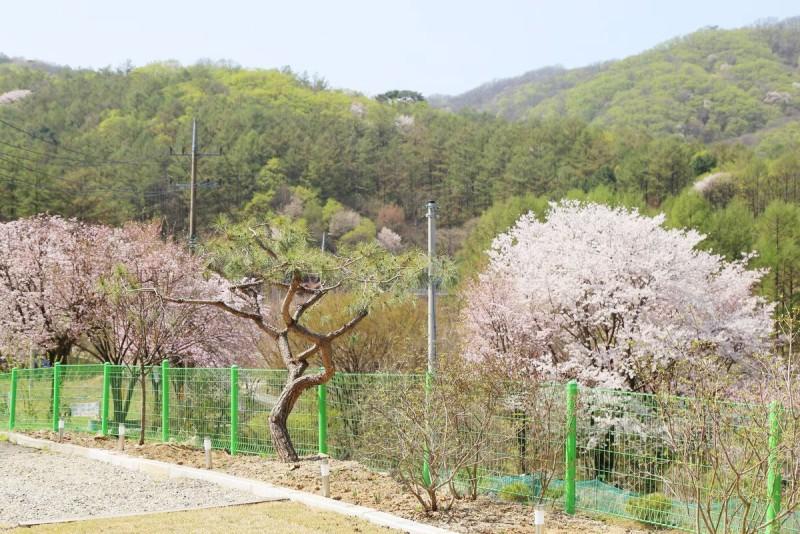 숙소 시설