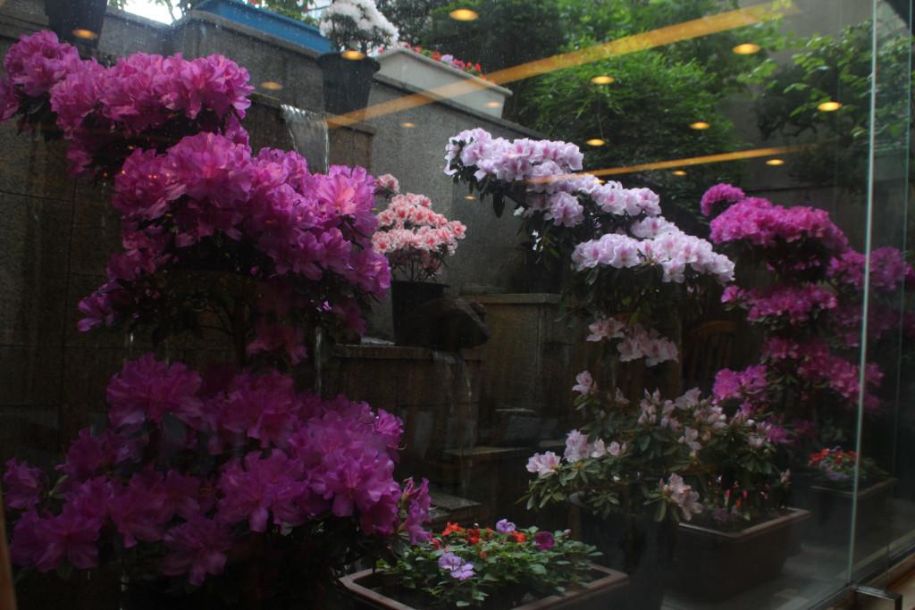 Seoul Rex Tourist Hotel-16