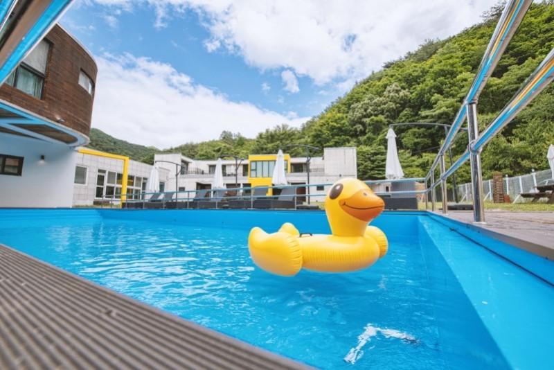 대표 사진