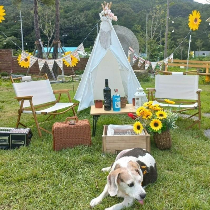 숙소 시설