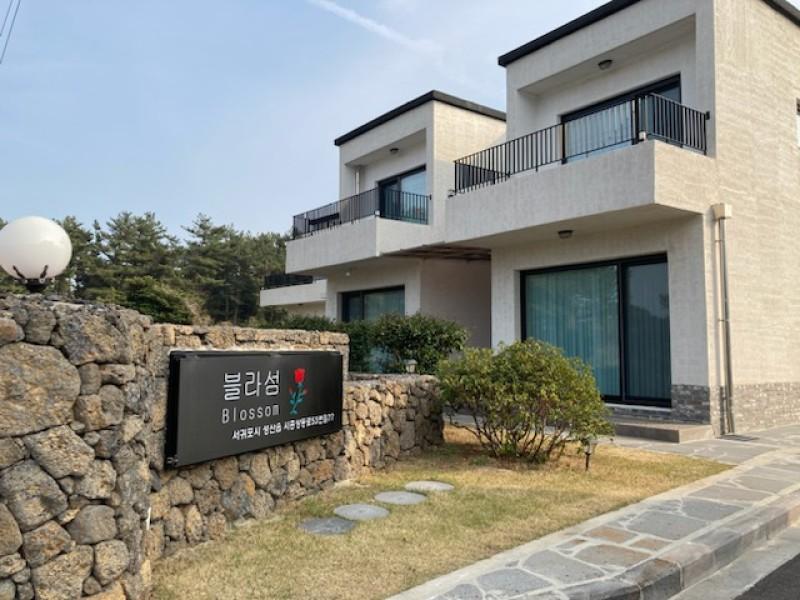 대표 사진
