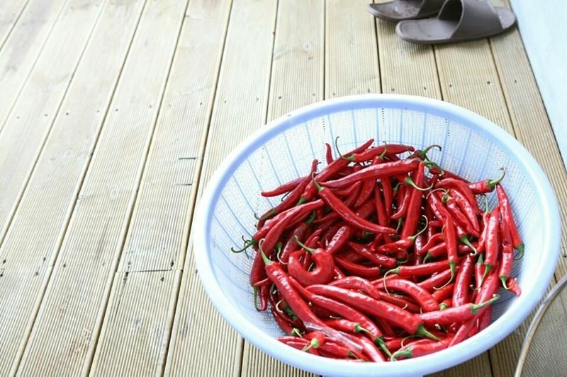 Yangpyeong Ggaruru Pension-14