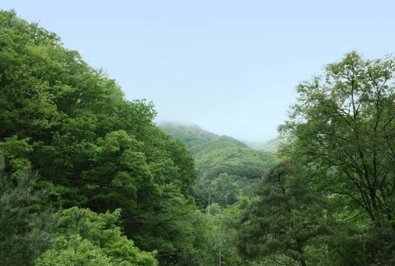 Gapyeong Eco House Pension-12