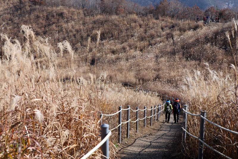 Hanwha Resort Sanjeong Lake-17